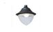 Уличный подвесной светильник Fumagalli VIVI 400